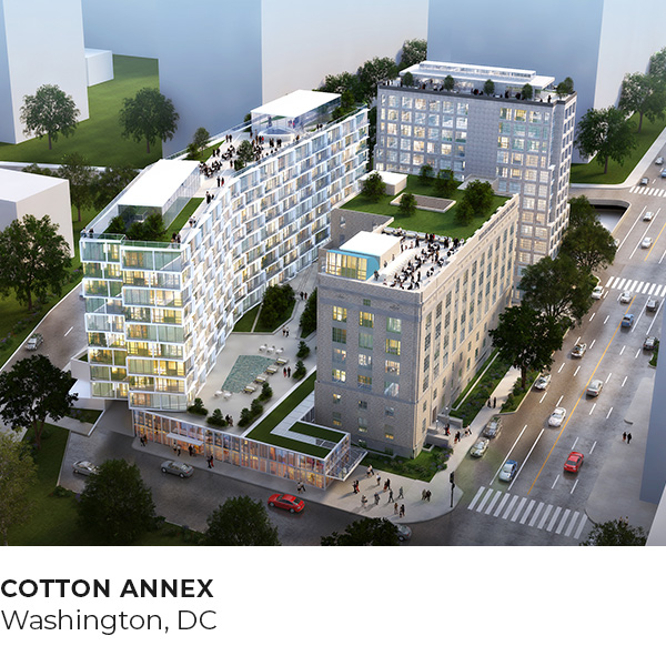 COTTON ANNEX